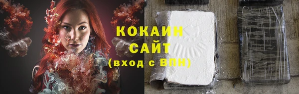 крисы Баксан