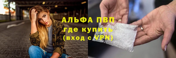 крисы Баксан