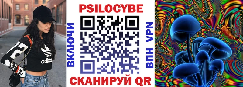 Галлюциногенные грибы Psilocybe  Плёс 